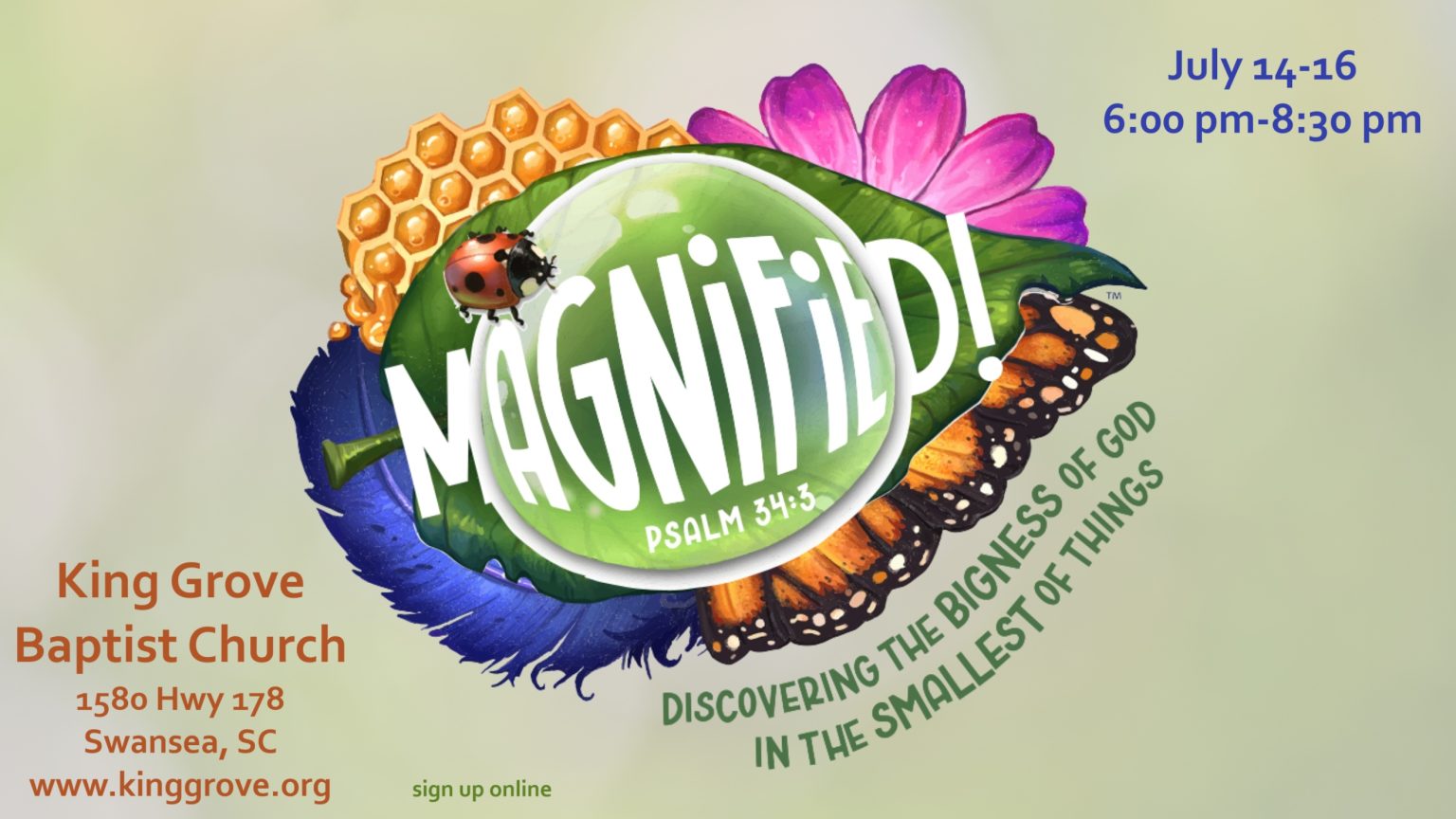 VBS 2025 Magnified